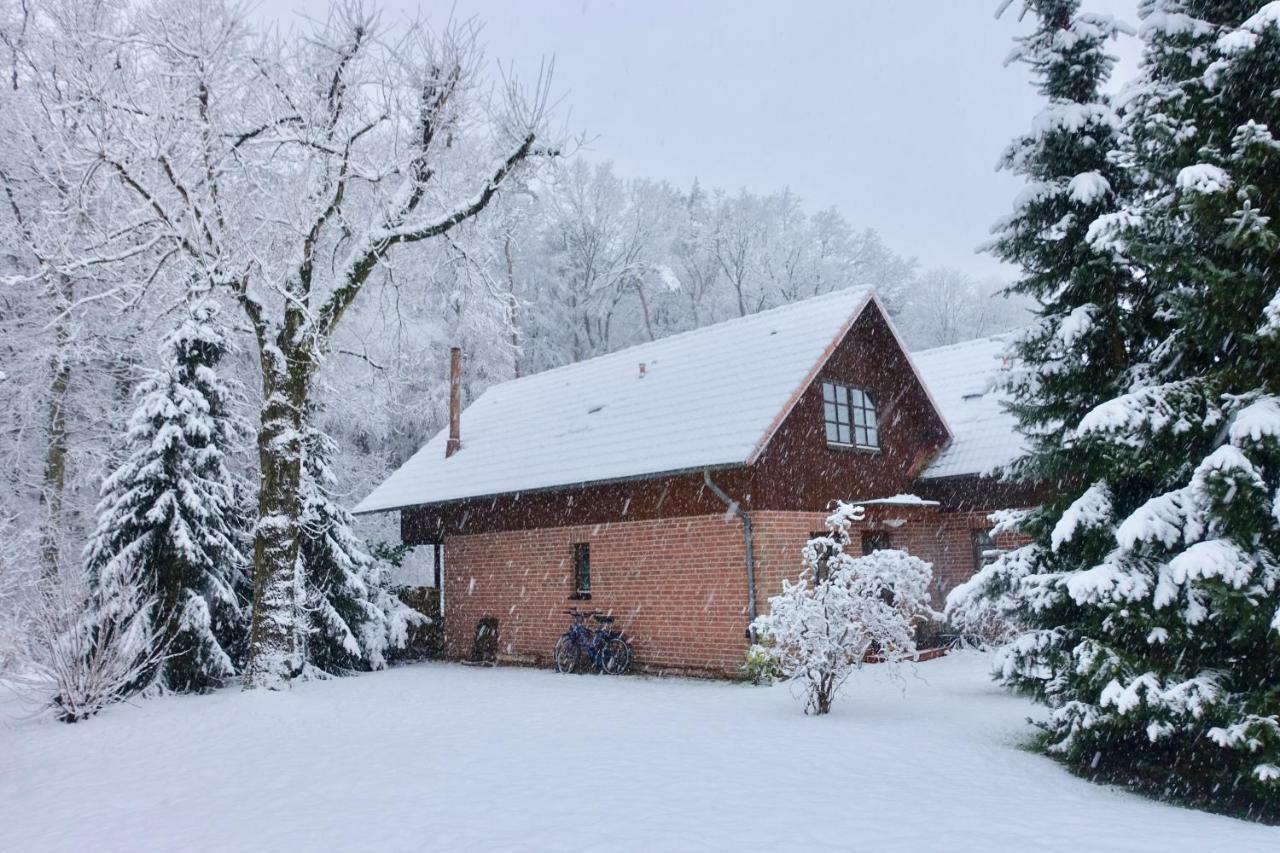 Haus Am Wald Klingberg Apartamento Exterior foto